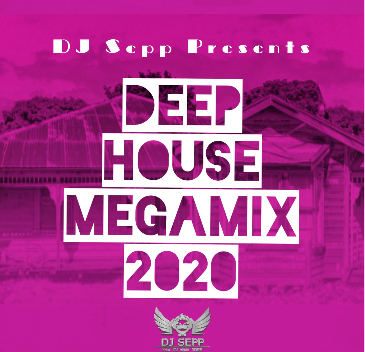 DJ Sepp Deep House Mix 2020