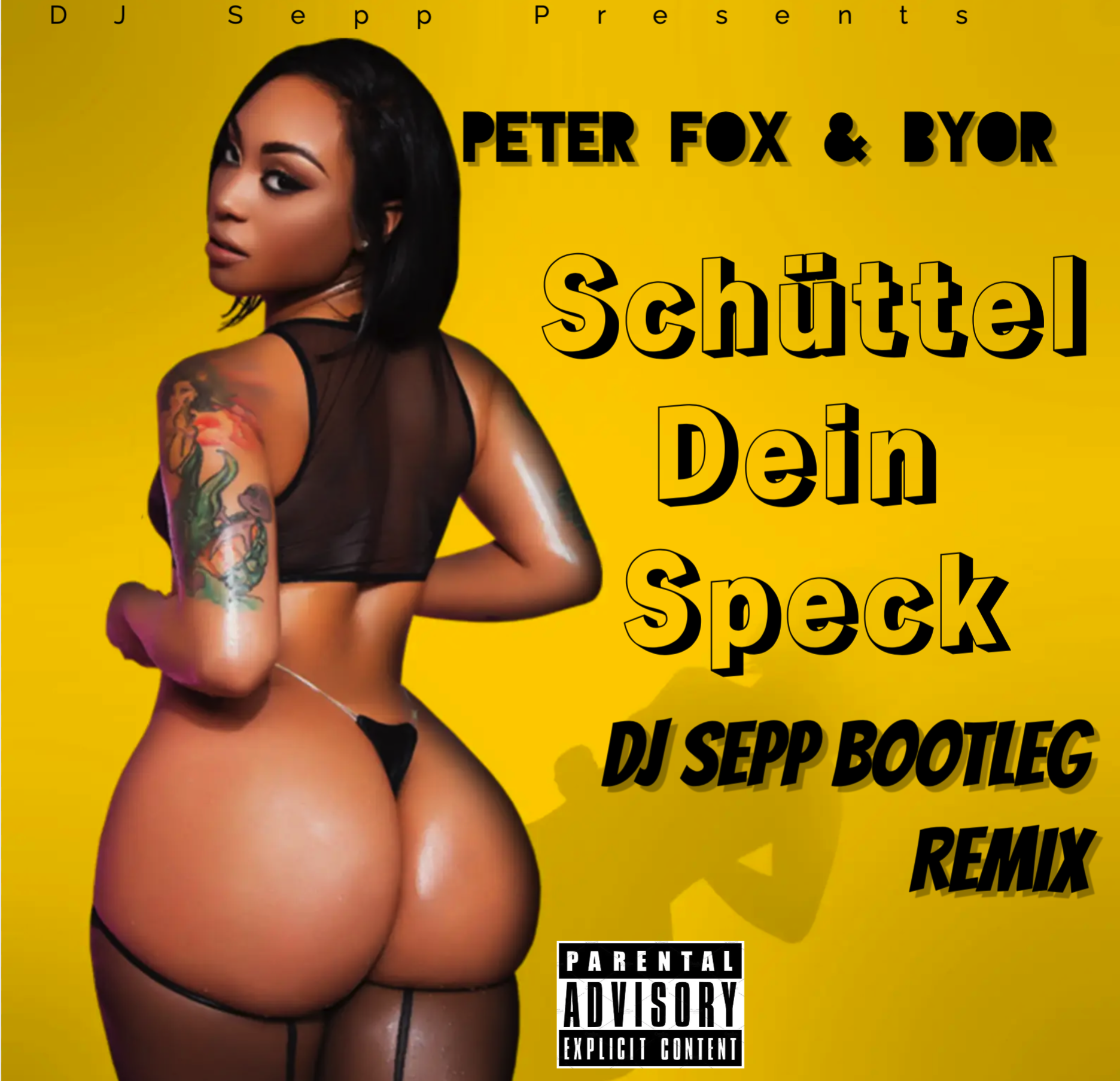 Cover DJ Sepp Peter Fox Speck